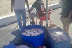 red_cee12933-4121-4ef2-94c3-9d1579272848